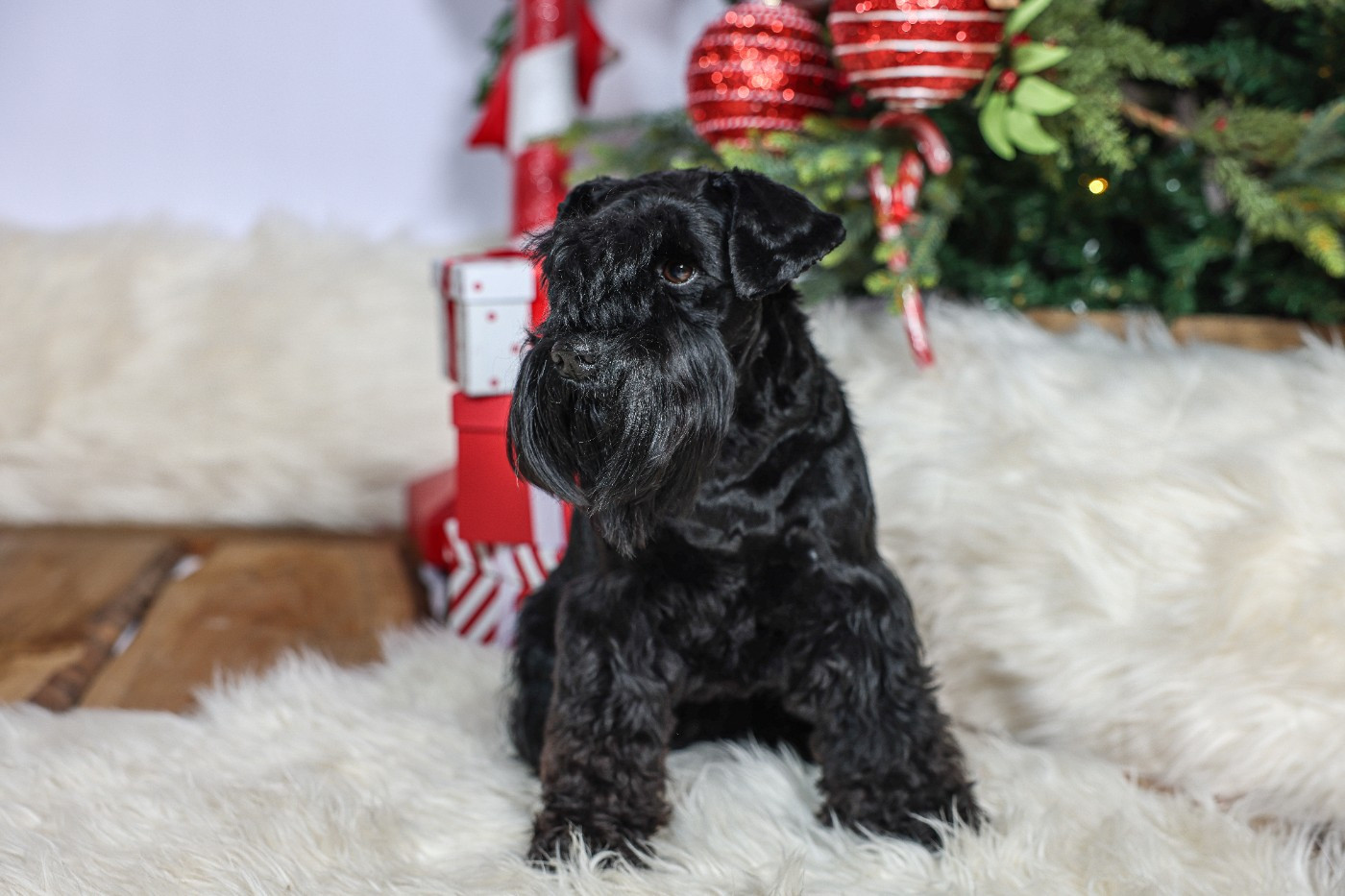 Unique For You Back To The Start